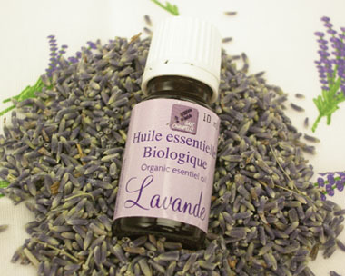 Fine Lavender Organic essential oil from Sault's lavender fields Fine Lavender Organic essential oil from Sault's lavender fields